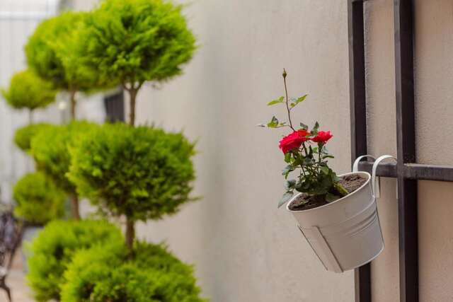 Отель HOTEL BLOOM Батуми-36